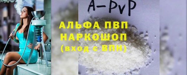 индика Абаза