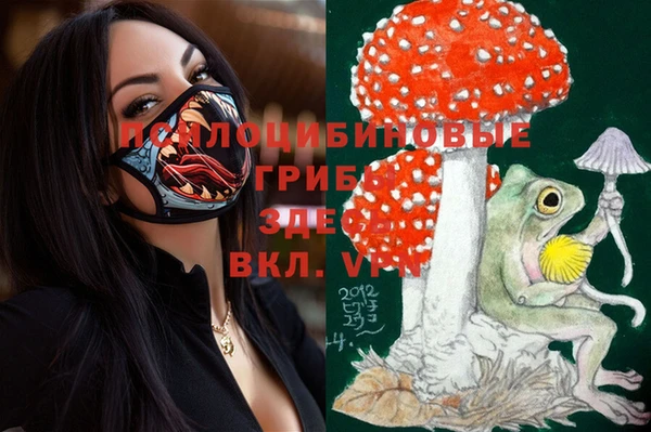 индика Абаза
