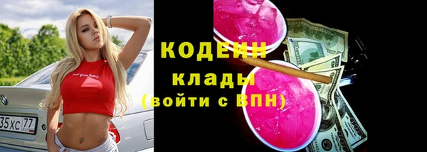 индика Абаза