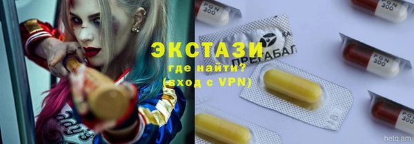 индика Абаза