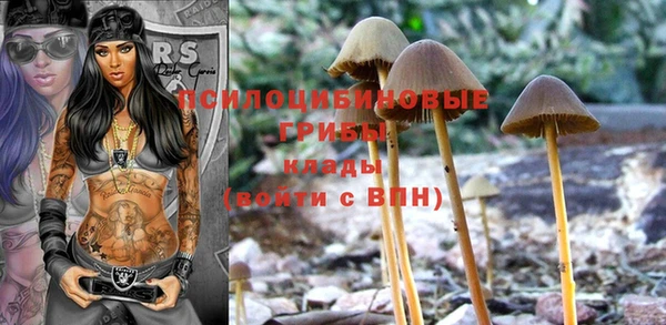 индика Абаза