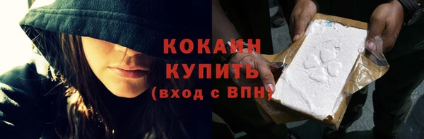 индика Абаза