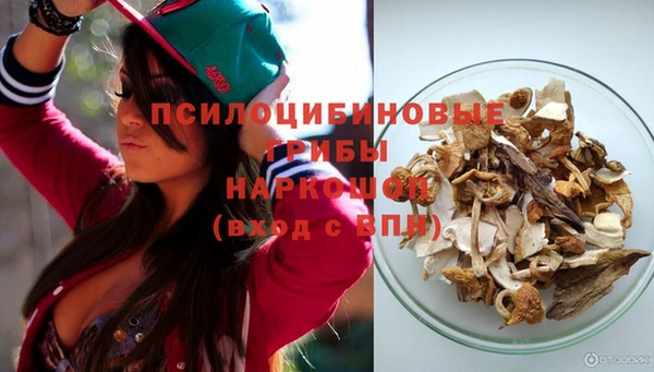 индика Абаза