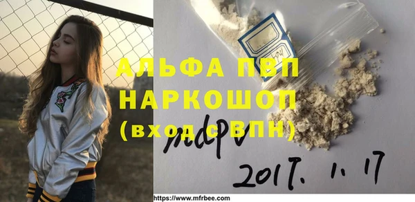 индика Абаза