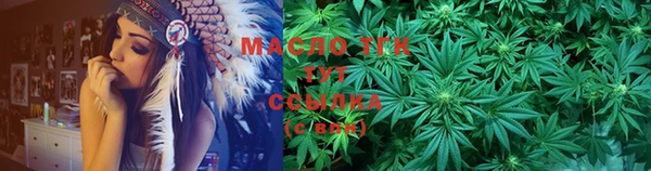 индика Абаза
