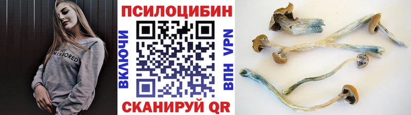 закладки  Ирбит  Псилоцибиновые грибы ЛСД 